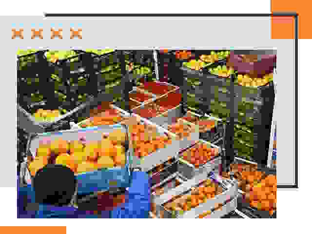Перевозка скоропортящихся продуктов в Усинске
